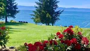 A grassy area with red flowers in the foreground, a body of water, and a clear sky.