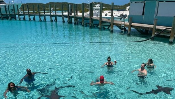 A clear blue pool with people swimming and sharks visible. -  Starfish Beach Cottage (exuma)