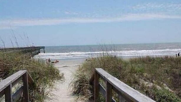 A beach pathway leading to the ocean with a wooden boardwalk and grassy dunes. - Oceanfront, One-Bedroom & Balcony, 50" Flat TV, Aug. 30- Sept.3- SPL Rates! (Isle of Palms)
