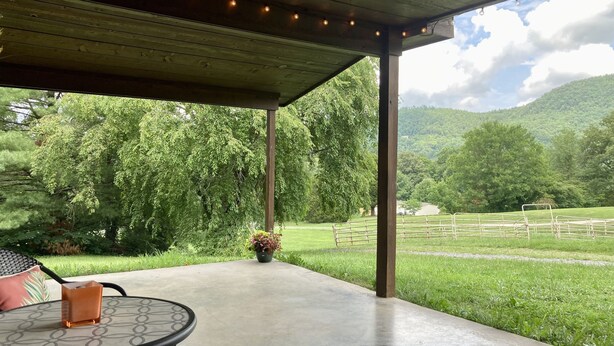 A covered patio with a table and chairs, a potted plant, and a view of a green landscape with trees and a fence.