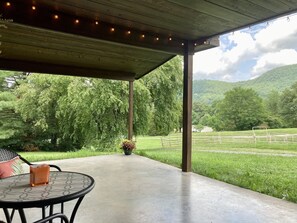 A covered patio with a table and chairs, a potted plant, and a view of a green landscape with trees and a fence.