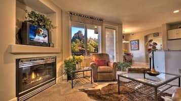 TV connectée, cheminée, lecteur de DVD, livres