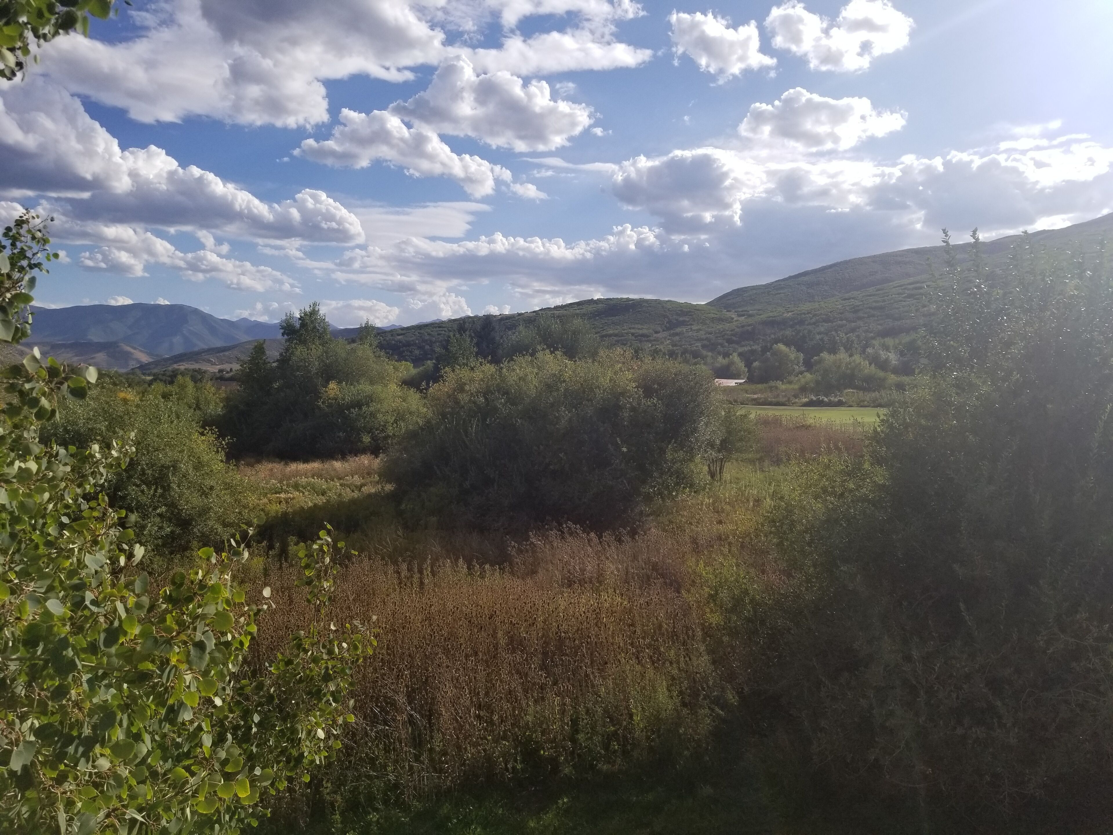 Un paysage naturel caractérisé par des collines, une végétation luxuriante et un ciel dégagé.