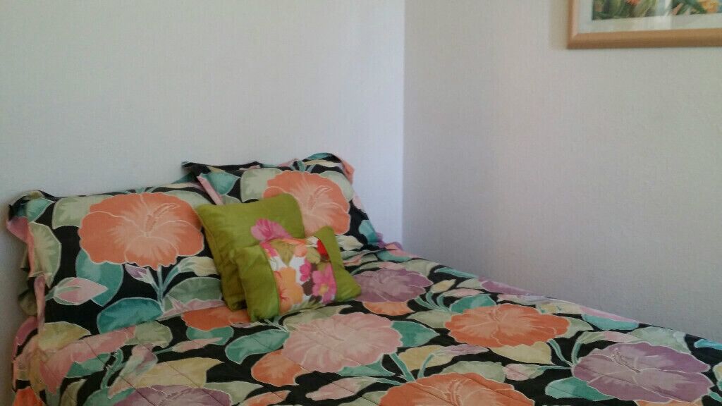 Hawaiian Dreams 4BR BEACH HOUSE only 27 steps to white sand swimming beach!