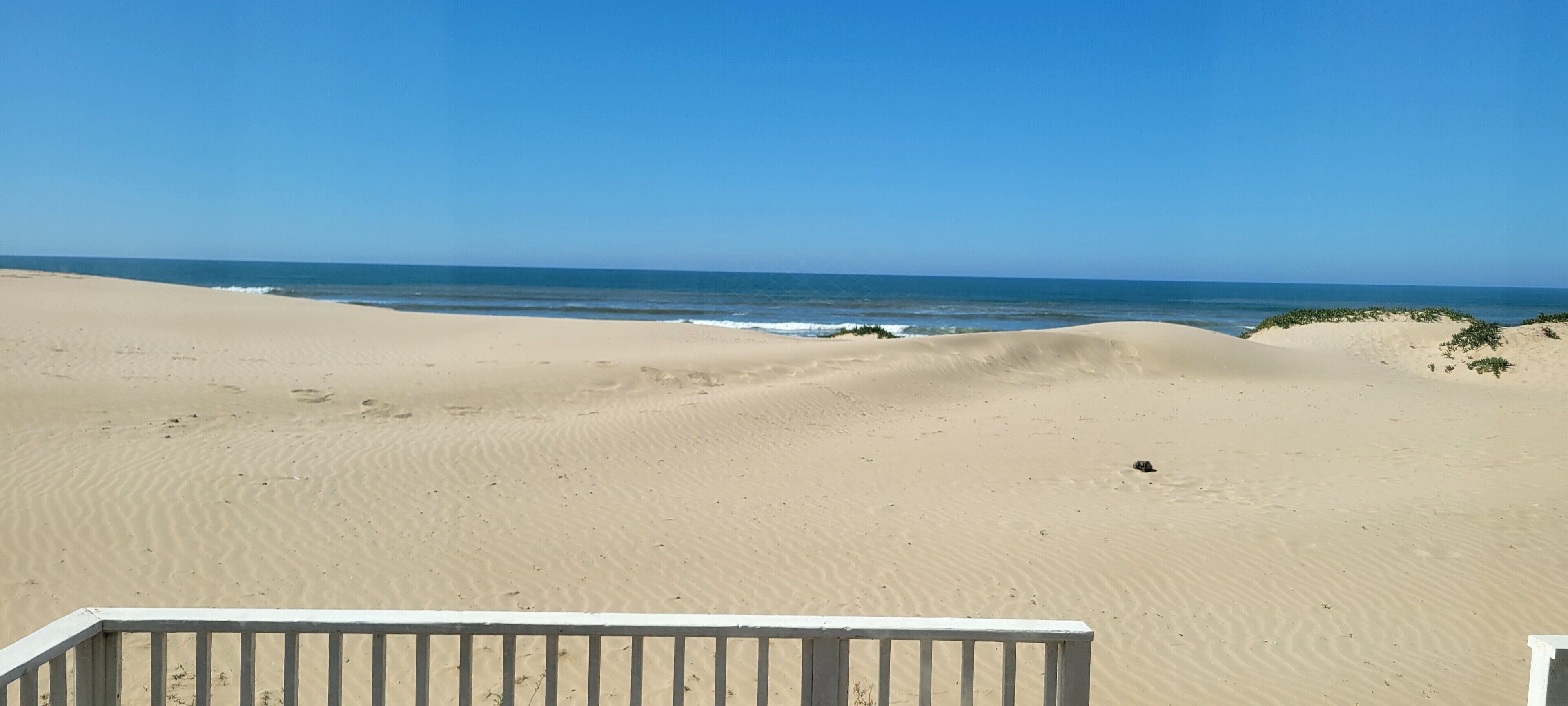 On the beach, sun-loungers