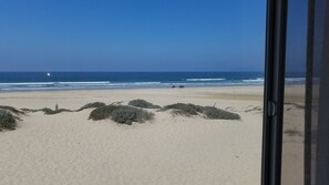 Plage, chaises longues