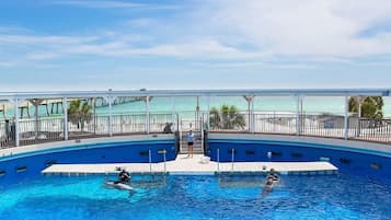 Una piscina climatizada