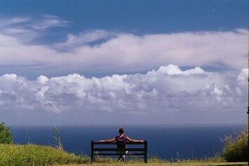 Watch whales and dolphins from your private bench overlooking Pacific Ocean
