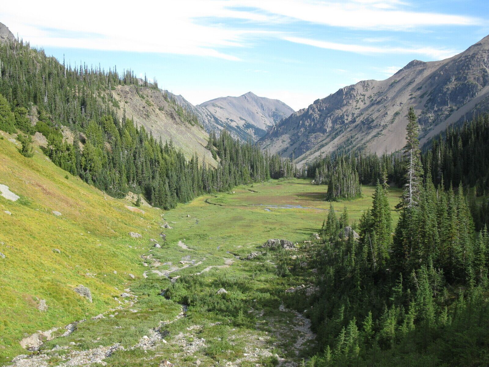 View of Royal Basin - Olympic National Park