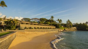 Um hotel à beira-mar com um edifício extenso, palmeiras e uma praia arenosa.