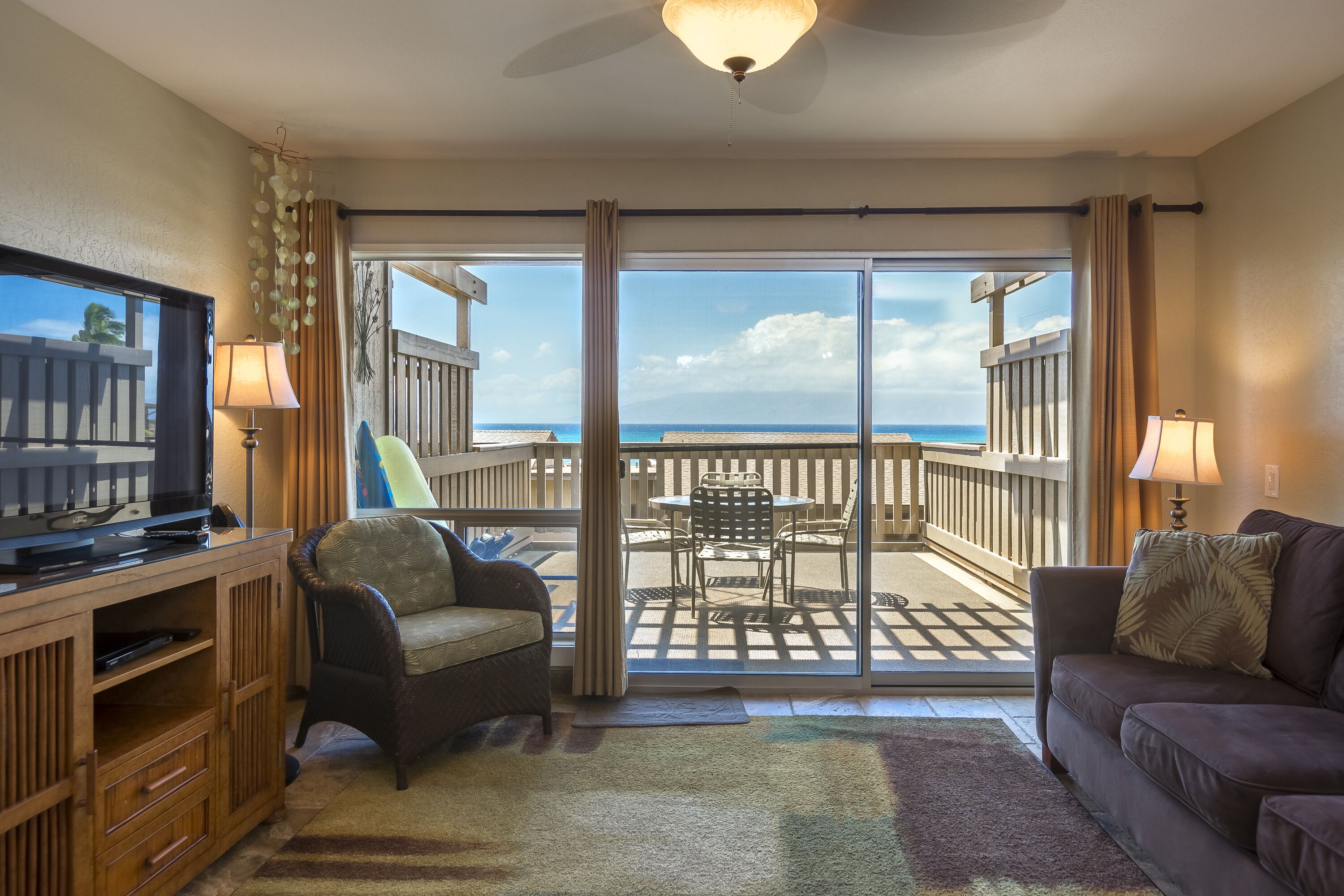 TV, DVD player, books, video library