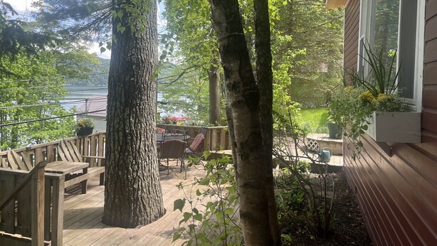 Une terrasse en bois offrant une vue sur un lac, entourée de grands arbres et d’une maison agrémentée d’une jardinière à la fenêtre.