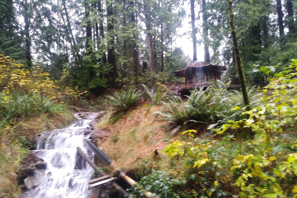 Stump House at SunRay Shire