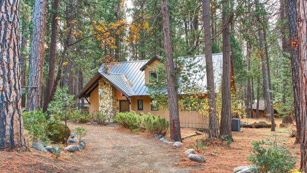 A rustic cabin with a stone foundation and a metal roof, surrounded by tall pine trees and a gravel path.