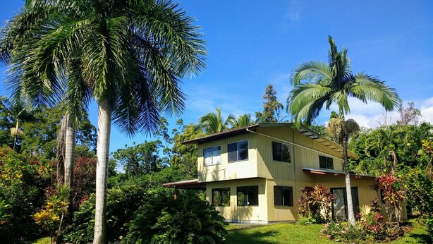 A two-story house with a flat roof, surrounded by lush greenery and palm trees.