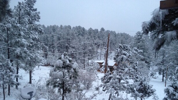 A snowy landscape with a cabin surrounded by trees. - COMY, COZY COTTAGE! HOT TUB ! PETS BY APPROVAL 
BEAUTIFUL IN THE FALL! BOOK NOW (Ruidoso)