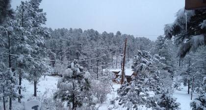 COMY, COZY COTTAGE! HOT TUB & FIREPLACE! PETS BY APPROVAL.
WEEKLY DISCOUNTS