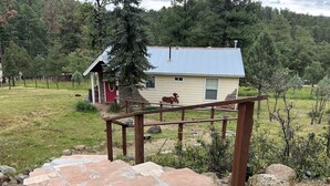 A rustic cabin with a stone staircase leading to a wooden deck, surrounded by a grassy field and trees. - COMY, COZY COTTAGE! HOT TUB ! PETS BY APPROVAL 
BEAUTIFUL IN THE FALL! BOOK NOW (Ruidoso)
