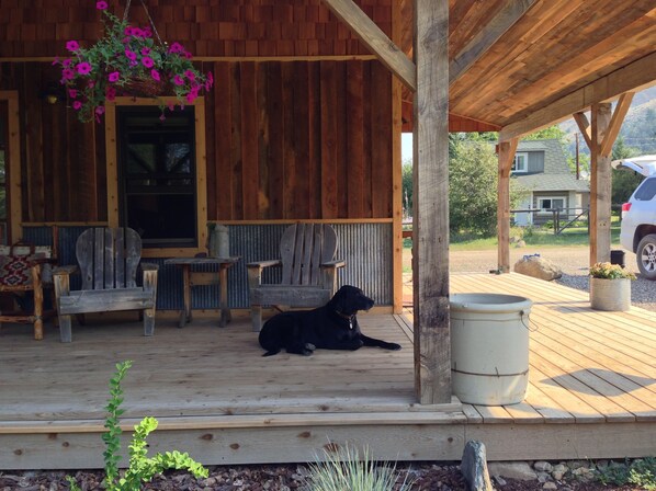 Une véranda en bois avec deux fauteuils Adirondack, une jardinière suspendue et un chien allongé sur la terrasse.