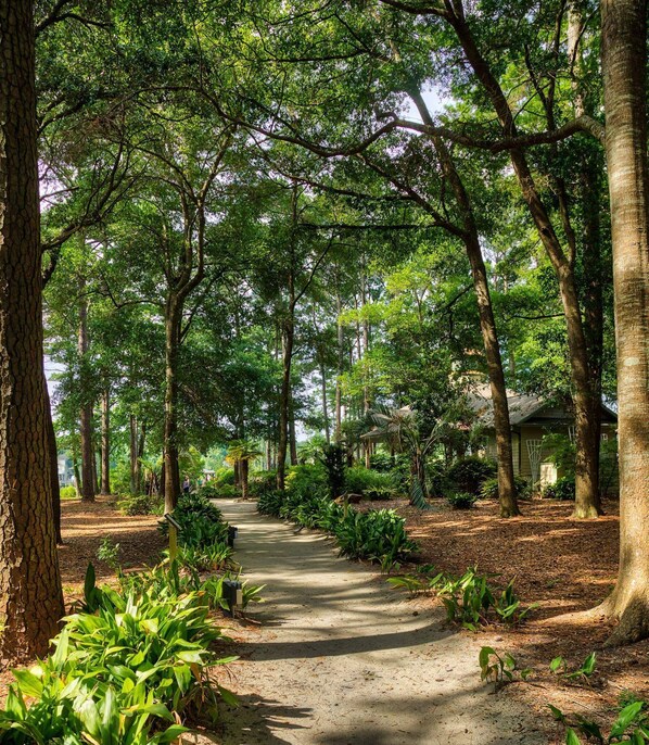 Overnatningsstedets område