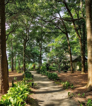 Jardines del alojamiento
