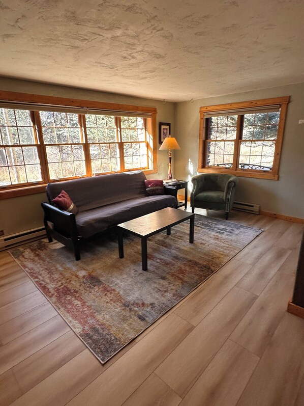 Flat-screen TV, fireplace, books