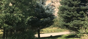 Jackson Hole. Just 9 Miles South Of Town