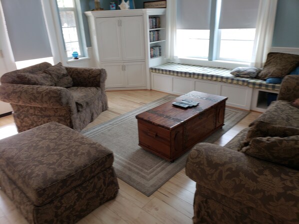 Smart TV, fireplace, DVD player, books