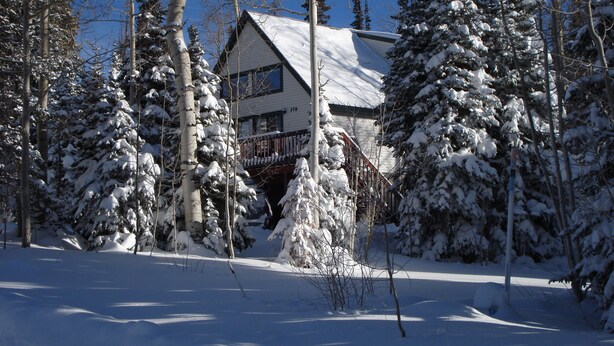 Un paysage enneigé avec une maison entourée d’arbres.