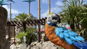 A parrot statue in a tropical setting with a rock pool and palm trees. - Hotel Palms - Adults Only (Moriyama)