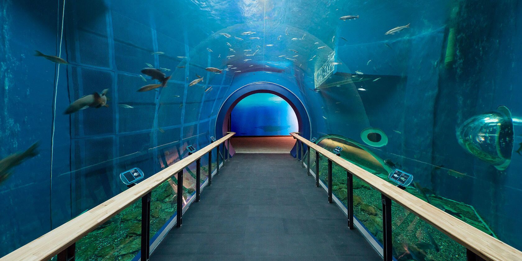 Un túnel submarino con paredes de vidrio, barandas de madera y un arco azul al final.