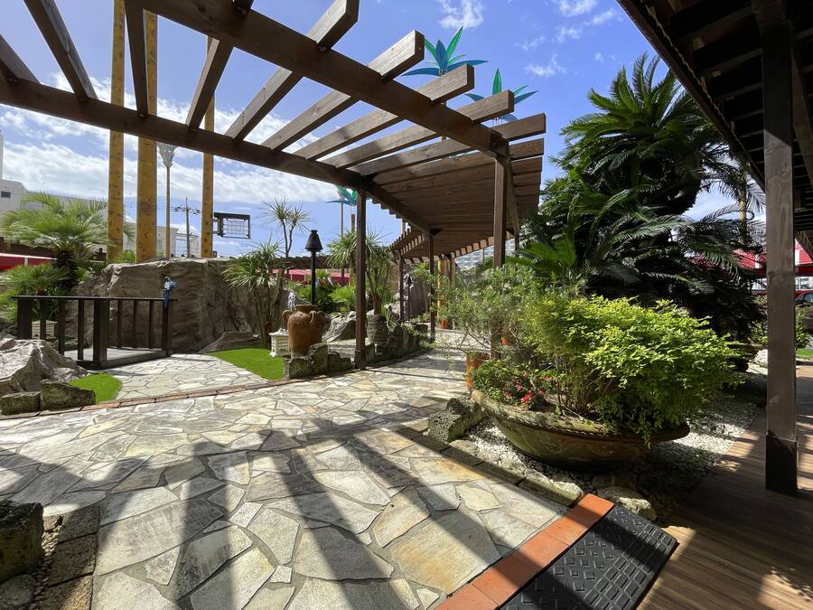Un espacio al aire libre cubierto con suelo de piedra, plantas en macetas y una estructura de pérgola.