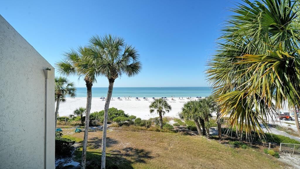 A view of a beach with palm trees and a clear blue sky.