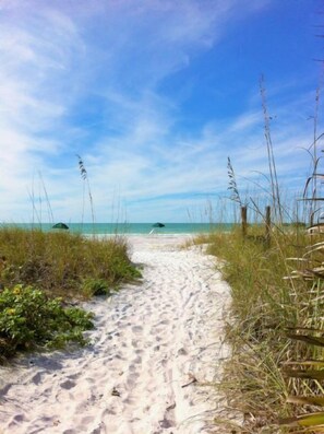 A sandy beach path leading to the ocean with tall grasses on either side. - Chinaberry 423-Gorgeous 2 bedroom 2 full bath unit on the 2nd floor (Siesta Key)