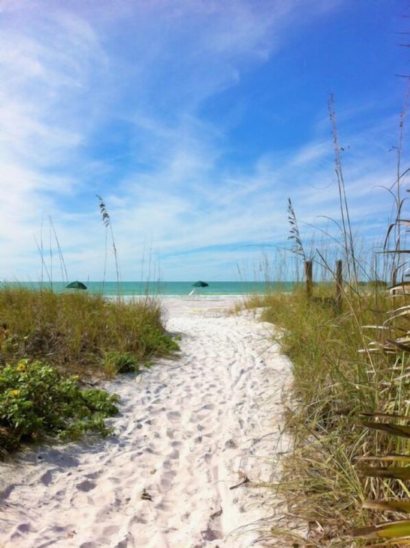 A sandy beach path leading to the ocean with tall grasses on either side. - Chinaberry 423-Gorgeous 2 bedroom 2 full bath unit on the 2nd floor (Siesta Key)