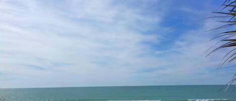 بالقرب من الشاطئ