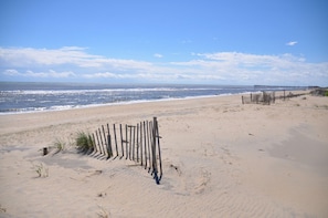 Plage à proximité
