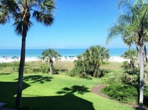 A view of a beach with palm trees and a clear sky.