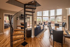 TV, fireplace, DVD player, video library