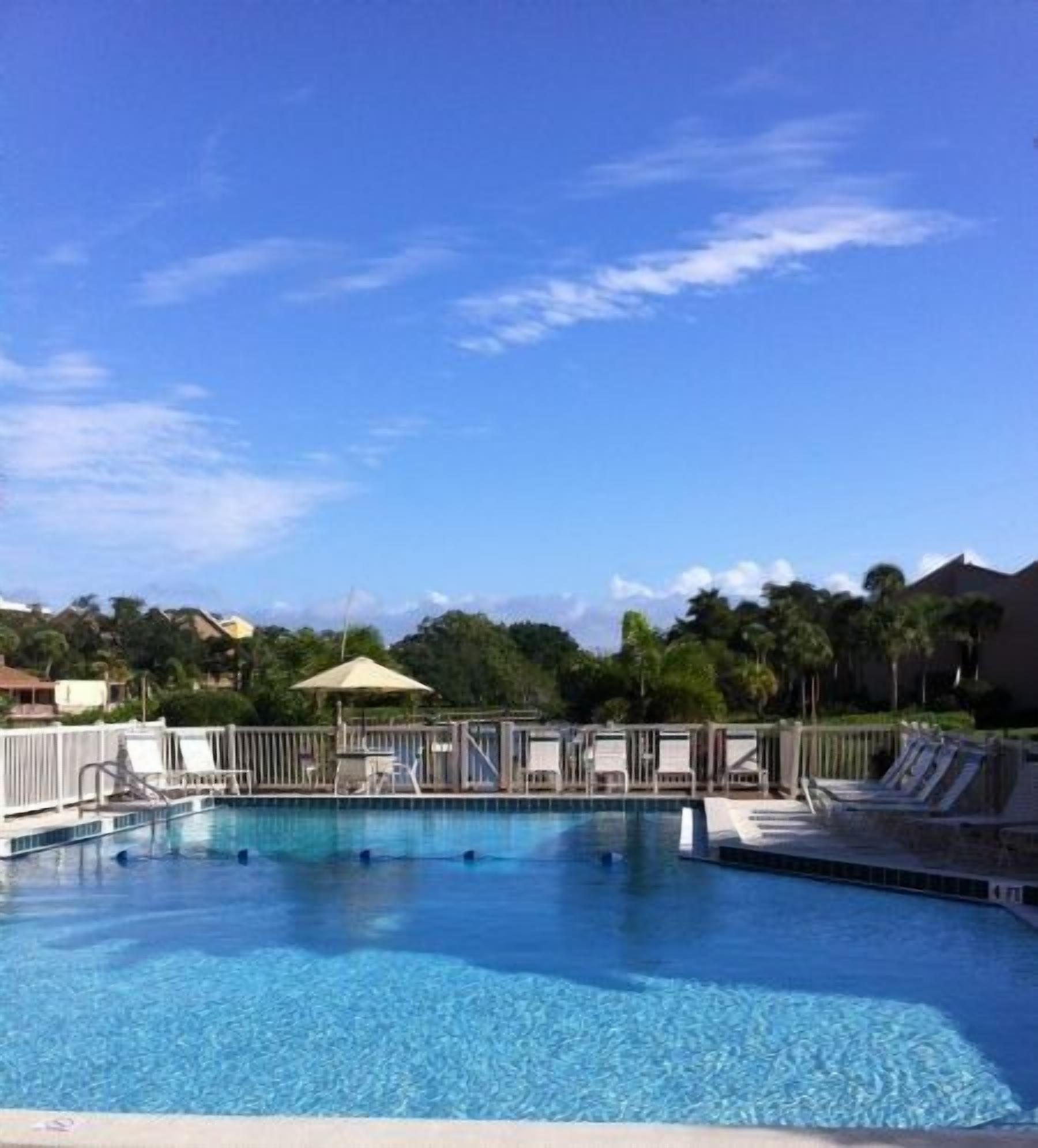 A swimming pool with a clear blue sky, a fenced area, and lounge chairs.