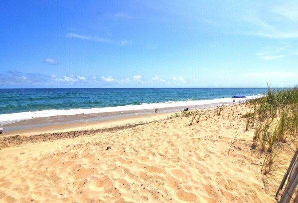 Nära stranden