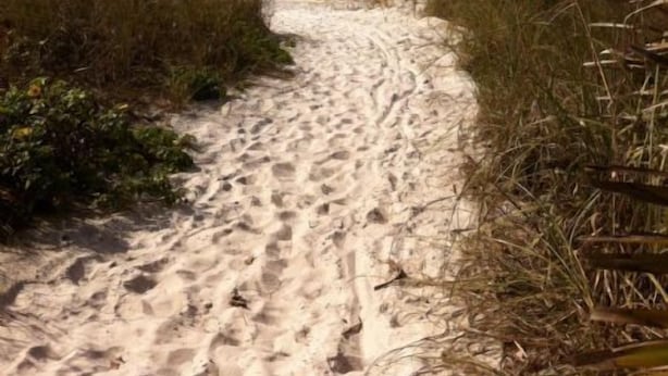 Ein Sandweg am Strand, der zum Meer führt, gesäumt von hohem Gras.