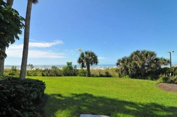 A grassy area with trees and a clear sky.