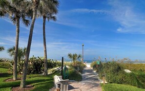 Playa en los alrededores 