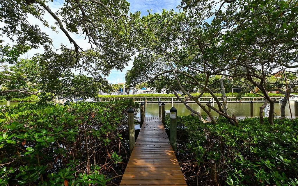 A wooden pathway leading through dense greenery to a bridge over water.