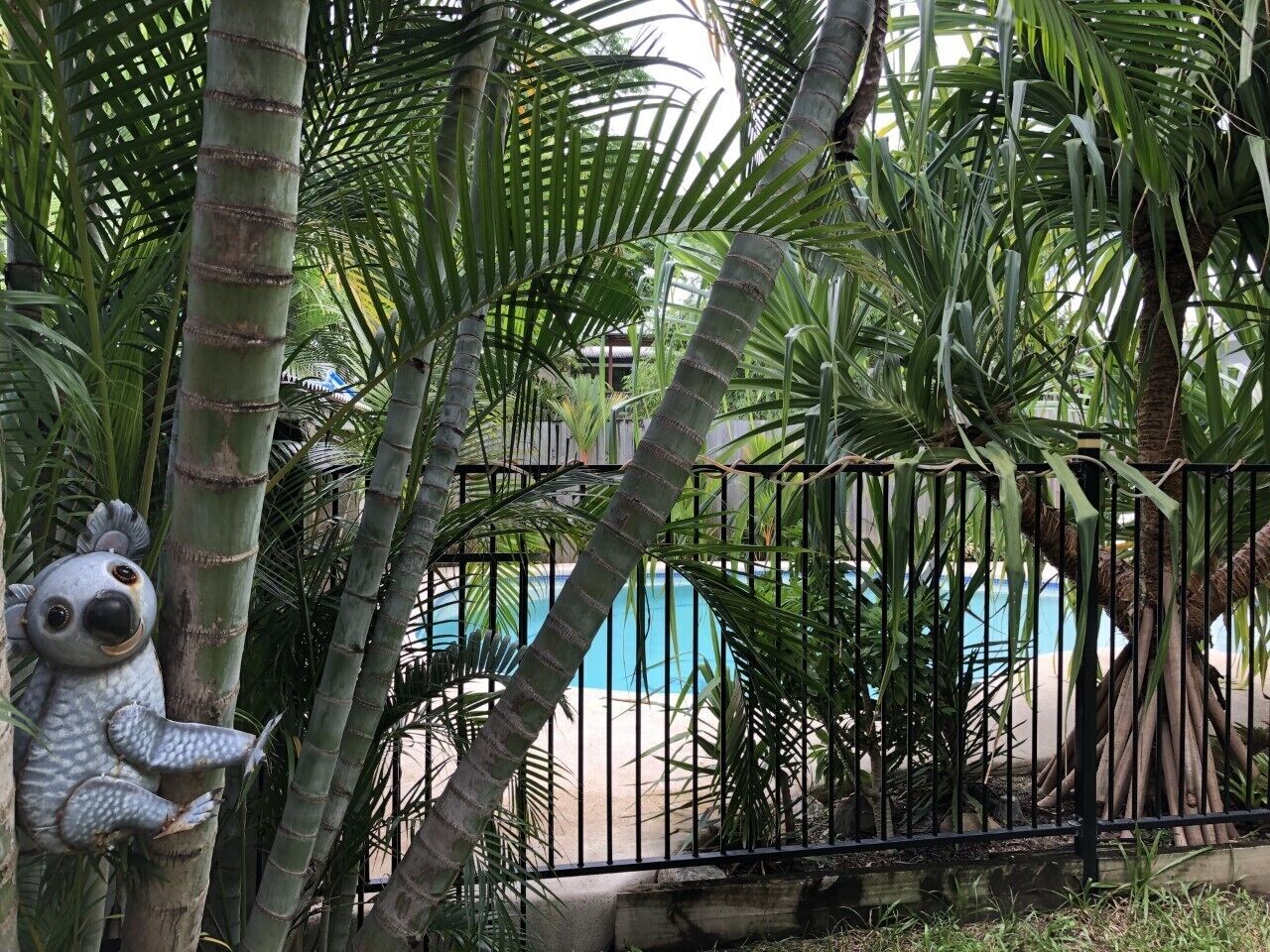 MountainVues with Pool 