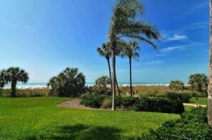 A grassy area with palm trees and a view of the beach.