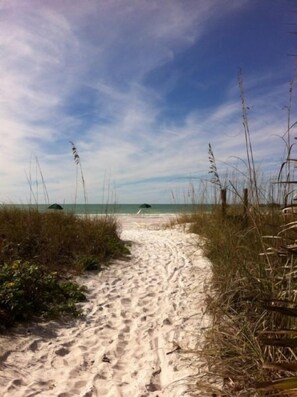 A sandy beach path leading to the ocean with sparse vegetation on either side. - Buttonwood 452- 5th floor, 3BR/2BA end unit with beautiful gulf view! (Siesta Key)