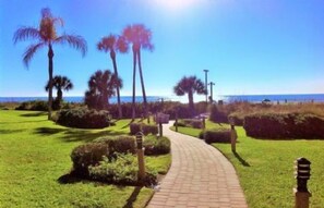 A paved pathway leading to a beach with palm trees and a clear sky.