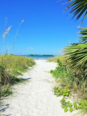 A sandy path leading to a body of water with greenery on both sides.